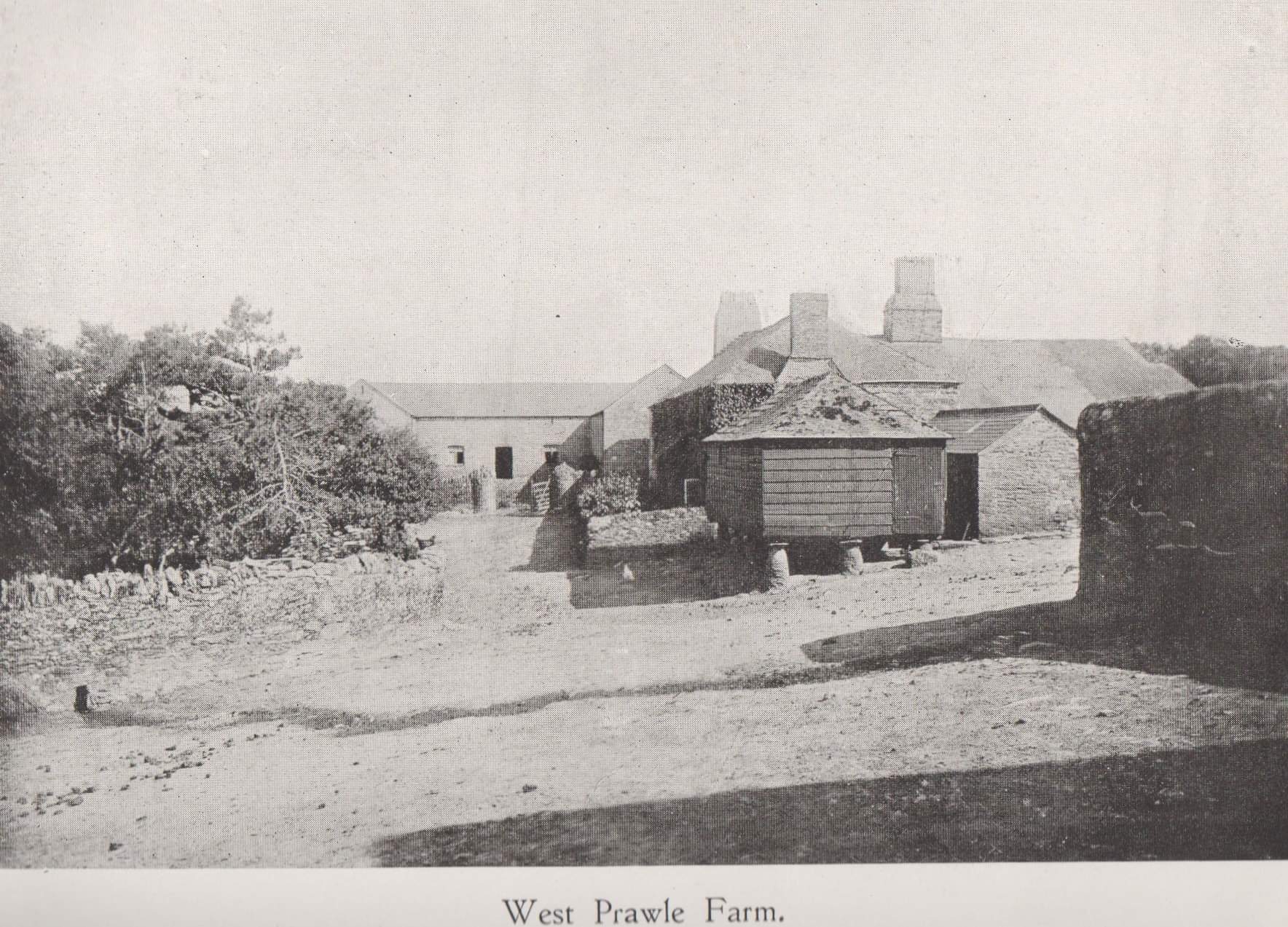 West Prawle Farm